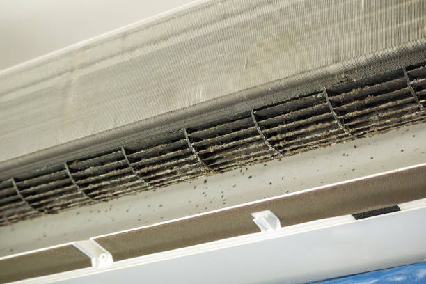 Best Affordable Duct Cleaning Services  in Kendall, FL